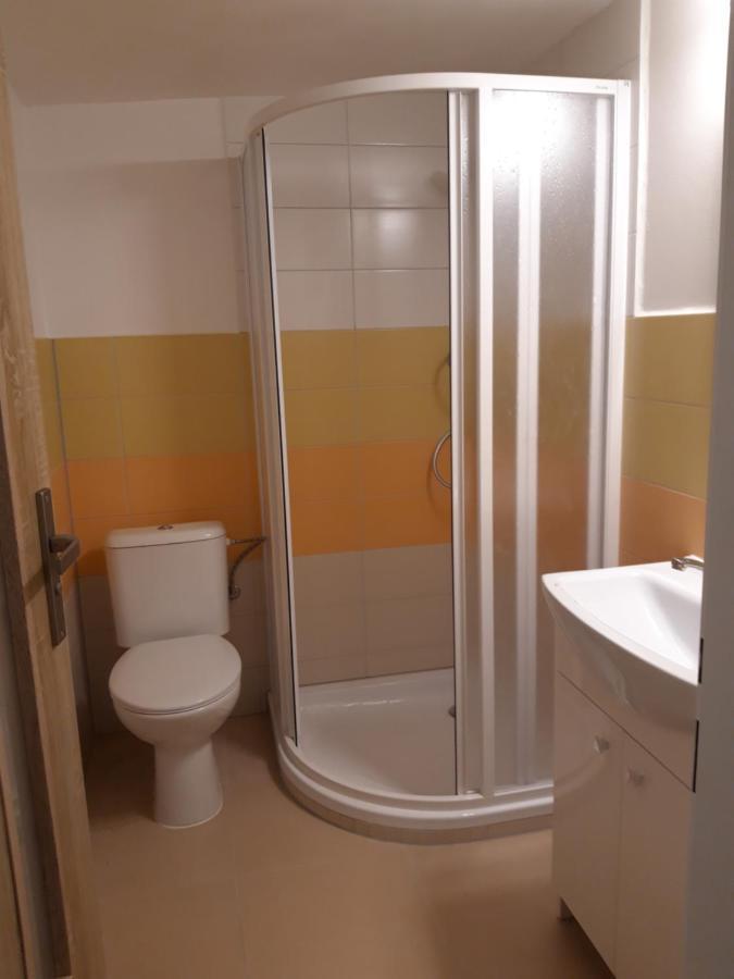 Apartman Plasy Экстерьер фото