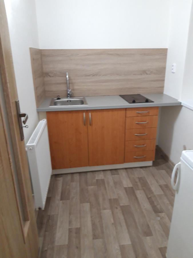 Apartman Plasy Экстерьер фото