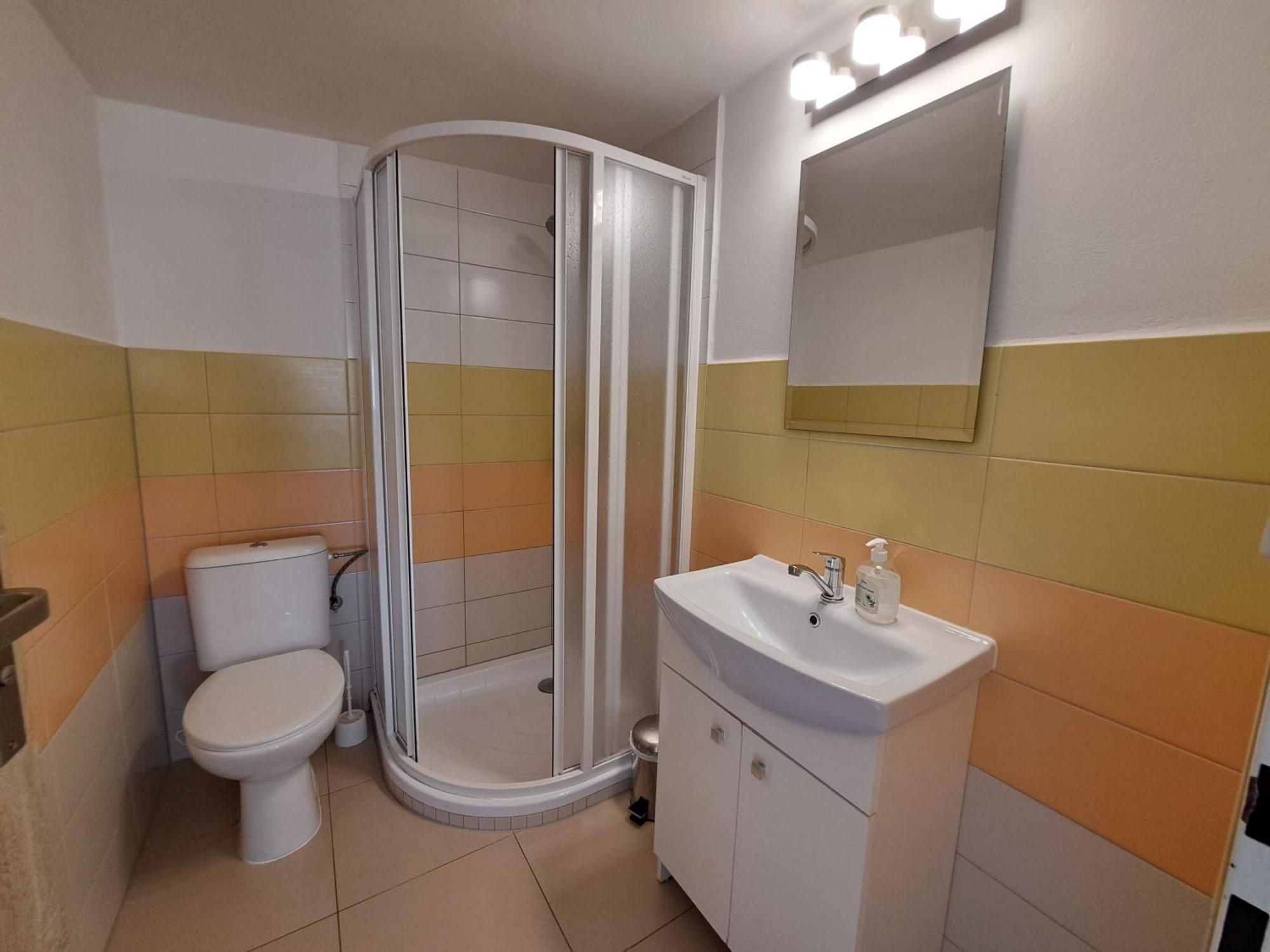 Apartman Plasy Экстерьер фото