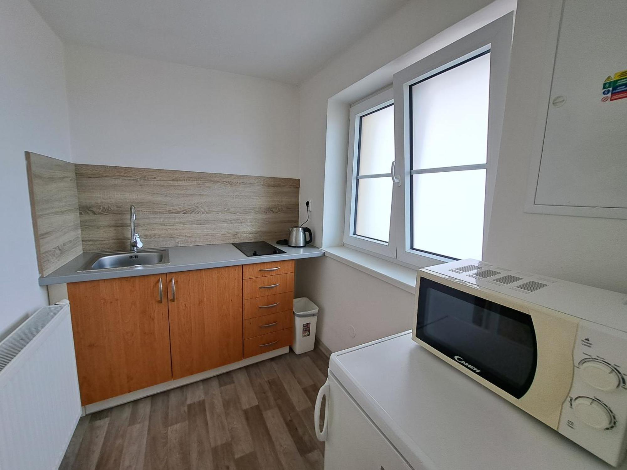 Apartman Plasy Экстерьер фото